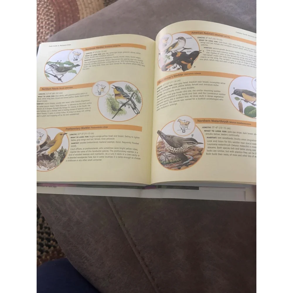 Birds in Your Backyard Guide Robert J Dolezal Reader's Digest Hardcover 2005